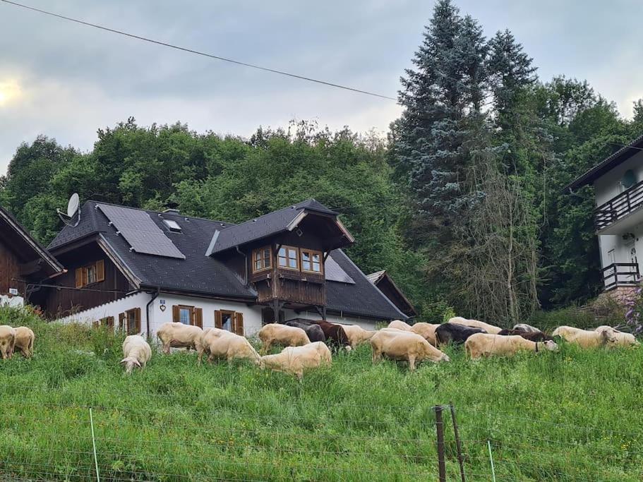 Ferienhaus Beringer Am Kallbach Траункирхен Екстериор снимка